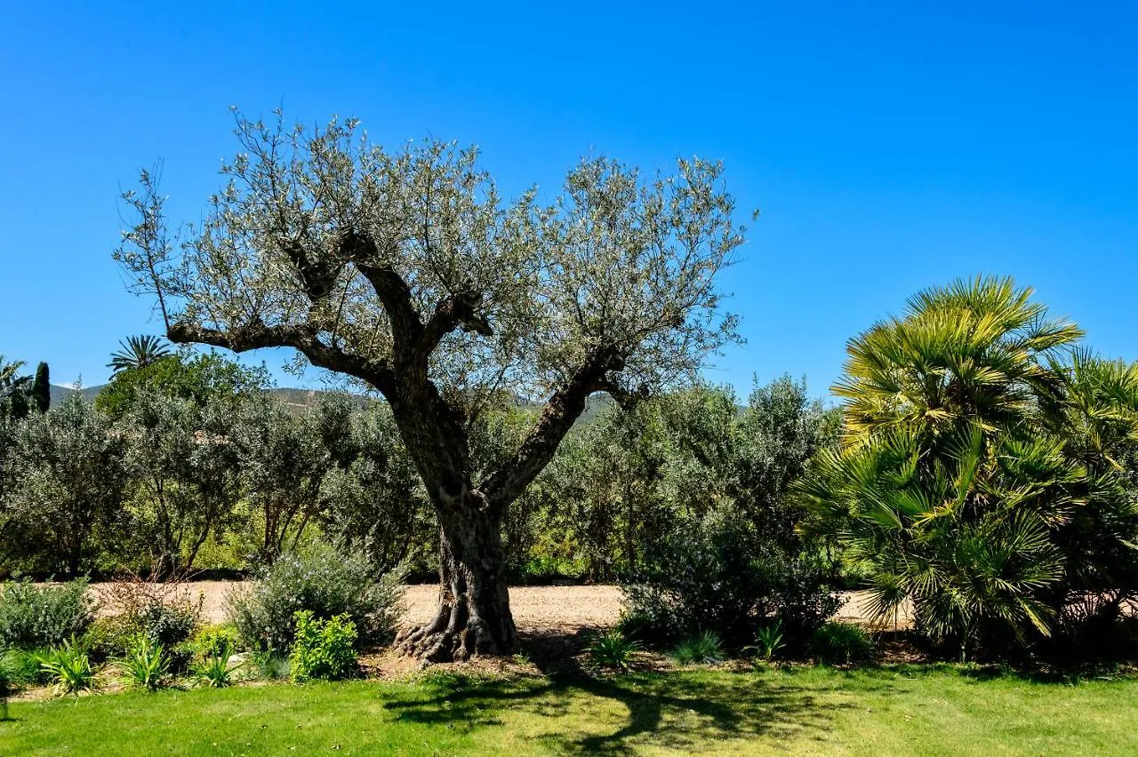 Villa Can Jaume Arabi De Baix Puig D'en Valls Španělsko